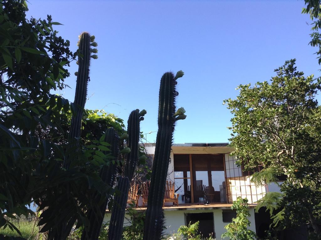 Welcoming Vibes Treasure Beach Exterior foto